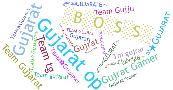 Porecle pentru Teamgujarat